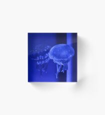Jellyfish reflection Acrylic Block