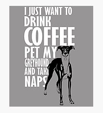 Greyhound & Nap Photographic Print