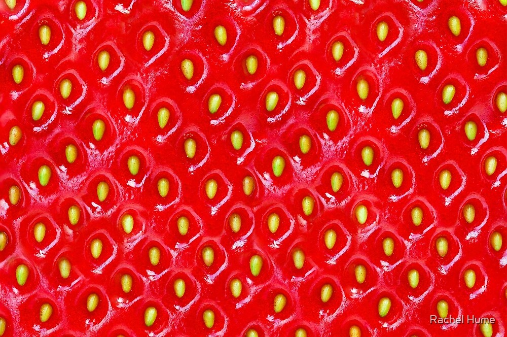 "Strawberry Skin" by Rachel Hume Redbubble