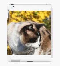 Vinny iPad Case/Skin