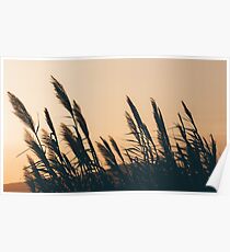 Peaceful Fields Poster