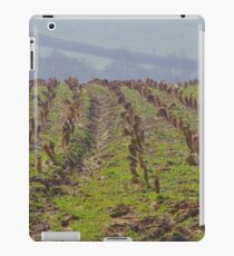 Cabbage Stumps iPad Case/Skin