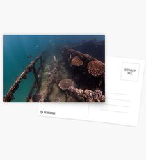 Tangalooma Wrecks - 3 Postcards
