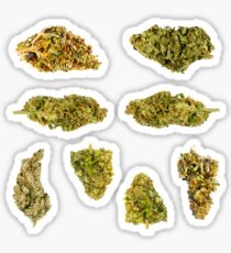 Nugs. Sticker