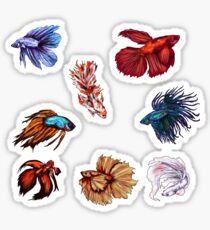 Pegatina Peces Betta