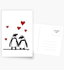 African Penguin Love Postcards
