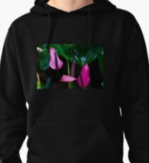 Pink Anthuriums Pullover Hoodie