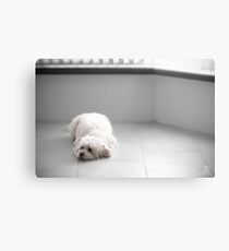 "I'm bored, dad!" Canvas Print