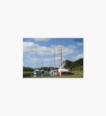 BOATS AT THE NATIONAL TRUST Art Board