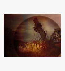 Nature Unleashed Photographic Print