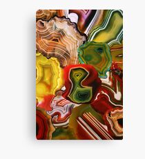 The Beauty in the Earth, Agates Canvas Print