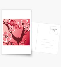 blossom Postcards