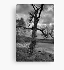 All This is Mine Canvas Print