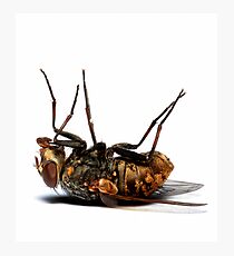 Breakdancer Photographic Print