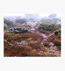 Winter in Hobart Photographic Print