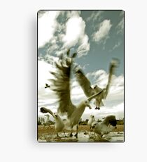 Survival of The Fittest Canvas Print