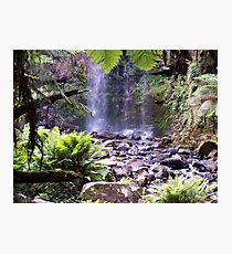 Paradise waterfall, photography Lissy Photographic Print