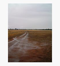 dull gold track Photographic Print