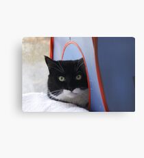 Val Metal Print