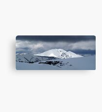Giant in the Sun Canvas Print