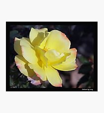 Delicate Photographic Print
