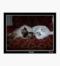 Friends Photographic Print