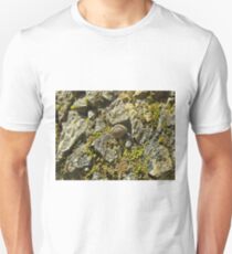 Coiled Unisex T-Shirt