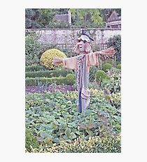 Scarecrow Photographic Print