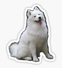 Samoyed Sticker and More (cloudthesamoyed) Sticker