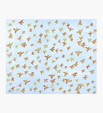 100 Birds Photographic Print