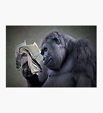 Evolution Photographic Print