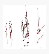 Traces and spaces Photographic Print