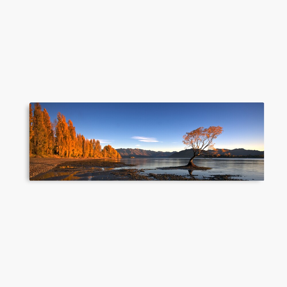 Lake Wanaka Canvas Print