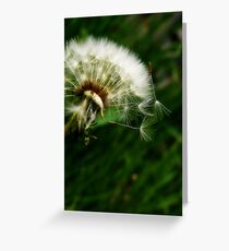 Bullets Greeting Card