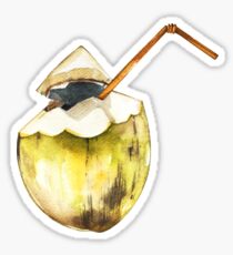 Kokosnuss Sticker