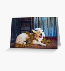 Colour Christmas Angel-dog Greeting Card