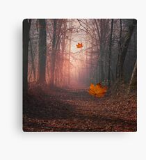 Otoño Canvas Print