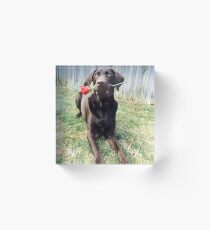 Dog and Rose Acrylic Block