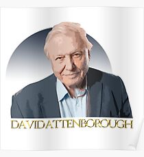 David Attenborough Gold Poster