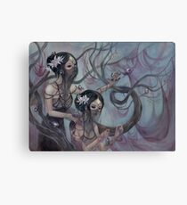 collecting silk from crystal spiders Canvas Print