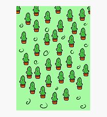 A sea of ​​Cactus Photographic Print