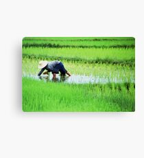 All in a Days Work Canvas Print