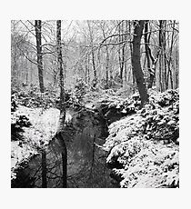 Winter in the Tiergarten, Berlin Photographic Print