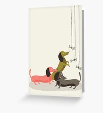 Darling Dachshund Trio Greeting Card