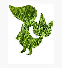 Snivy used Vine Whip Photographic Print