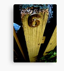 6 Canvas Print