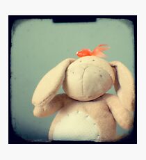 Easter bunny Photographic Print