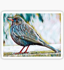 Bird Wildlife Art Sticker