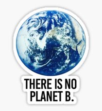 There is no Planet B Sticker