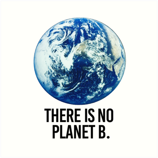 "There is no Planet B" Art Print by partyfarty | Redbubble